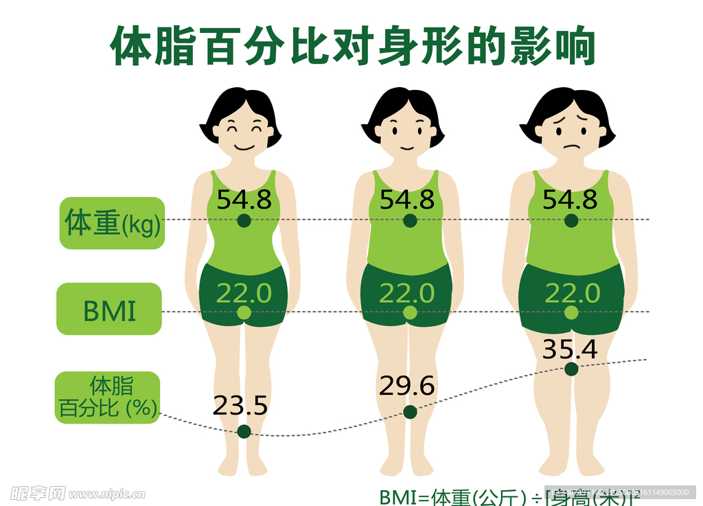 体脂百分比