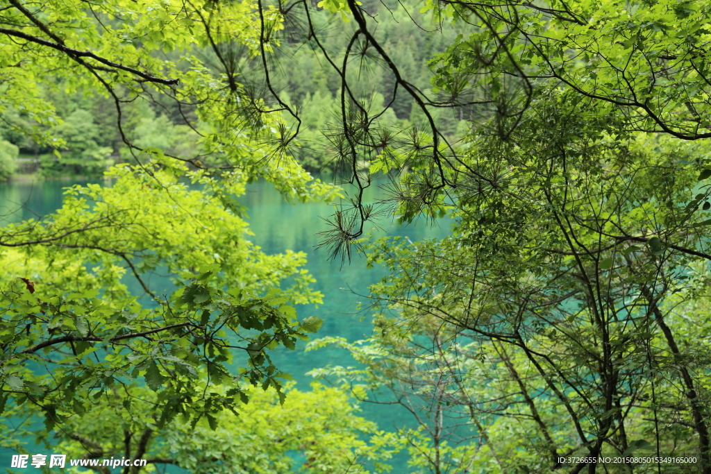 四川九寨沟