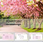 唯美PPT