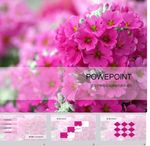 鲜花PPT
