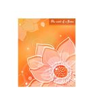矢量 花卉 图案 精品 创意