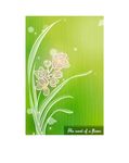 矢量 花卉 图案 精品 创意