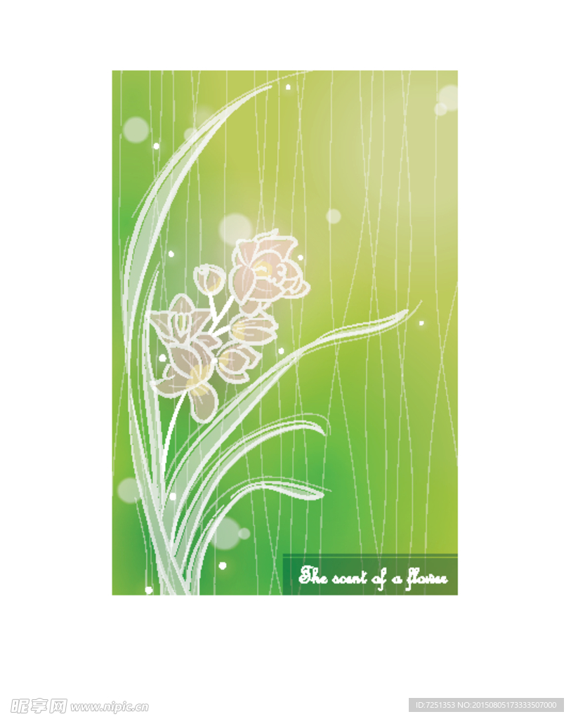 矢量 花卉 图案 精品 创意