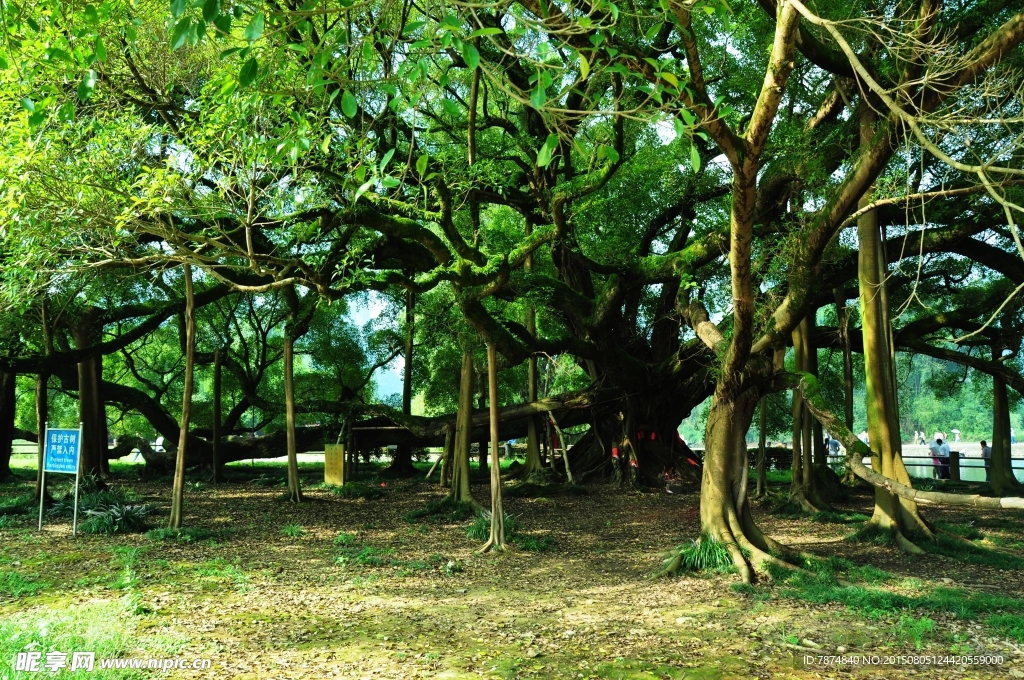 桂林山水