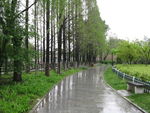 自然风景