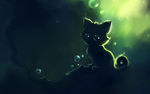 猫咪插画