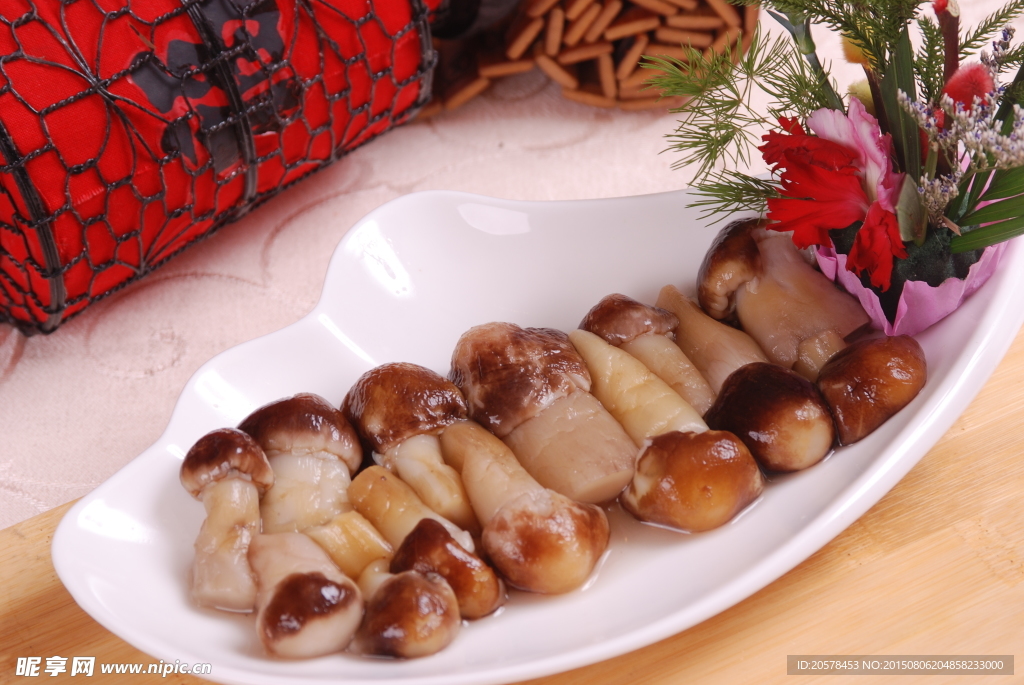 四后之鸡纵菌