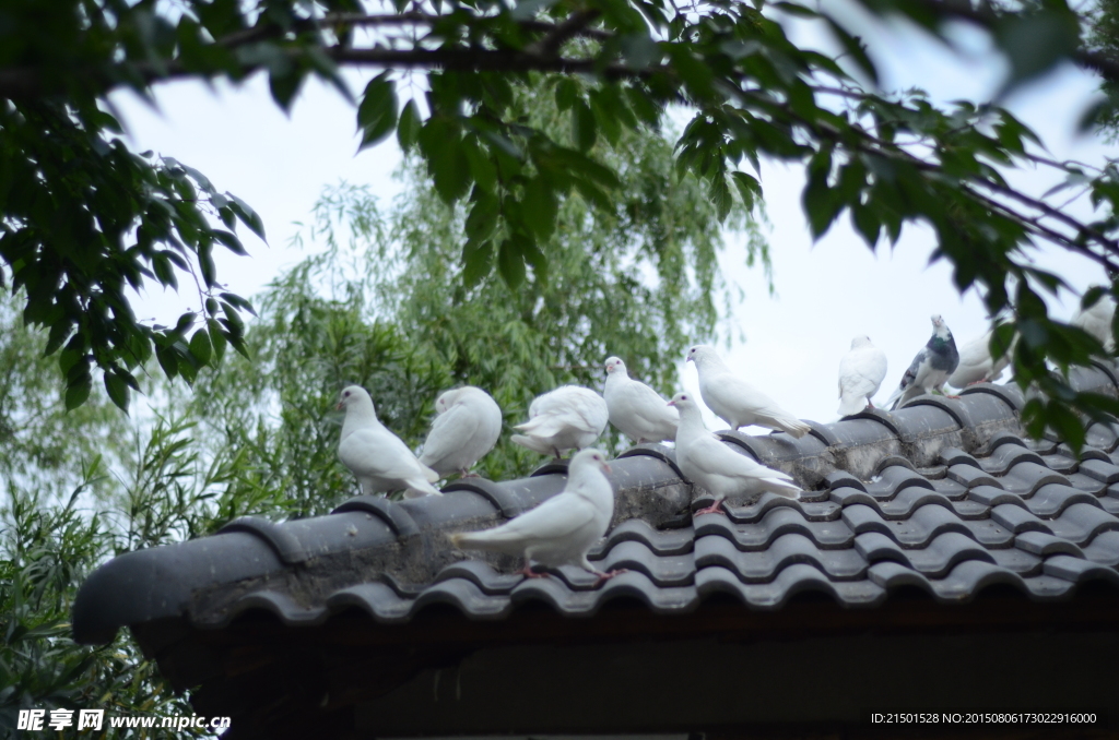自然景色