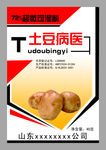 土豆