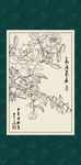 白描月季