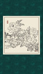 白描月季