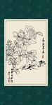 白描月季