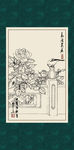 白描月季