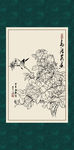 白描月季