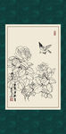 白描月季