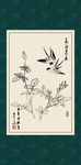 白描月季