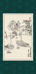 白描月季