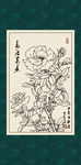 白描月季