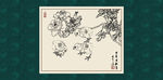 白描月季