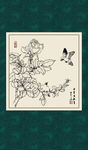 白描月季