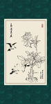 白描月季