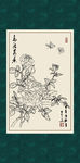 白描月季