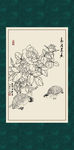 白描月季