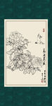 白描月季