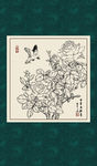 白描月季