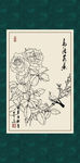 白描月季