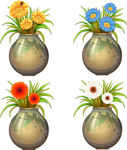 花卉