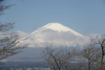 日本富士山