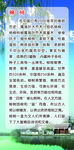 柳树