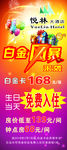 白金凤暴