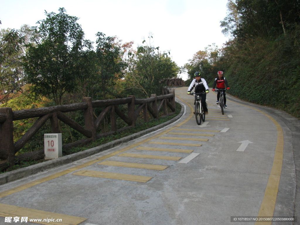 深圳绿道路