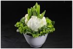 蔬菜大拼盘