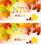 秋天 枫叶  新品上市