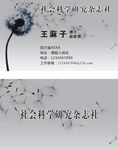 蒲公英名片
