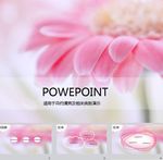 唯美PPT