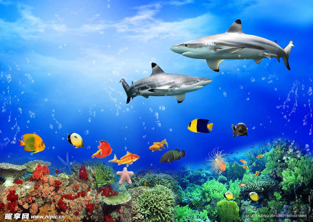 水族馆