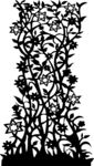 花纹