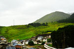 桑科草原