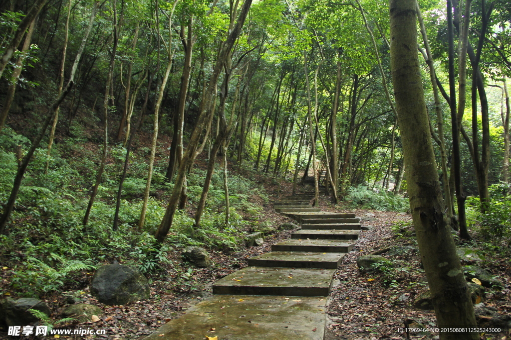 山道