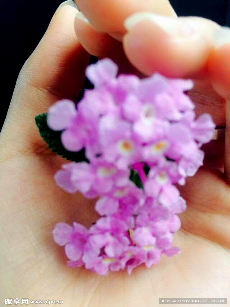 掌心花