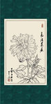 大丽花