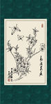 山桃