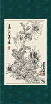 石竹