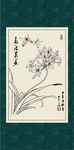 君子兰