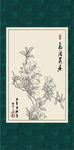 杜鹃