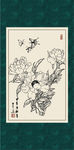芍药